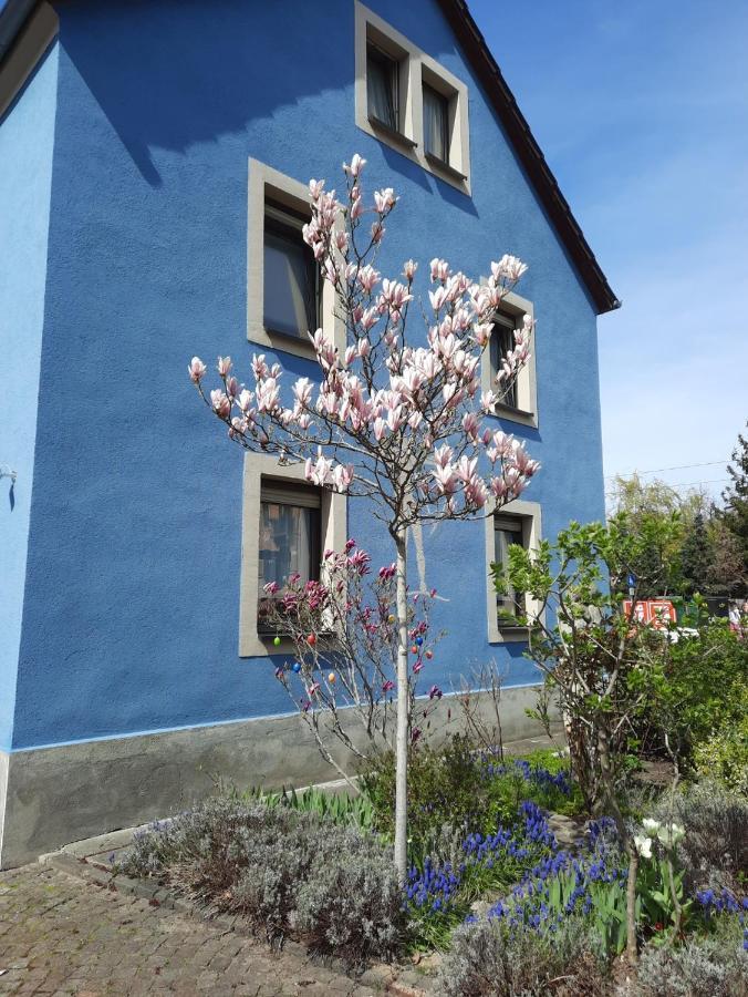 Kunstoase Am Blauen Haus Διαμέρισμα Δρέσδη Εξωτερικό φωτογραφία