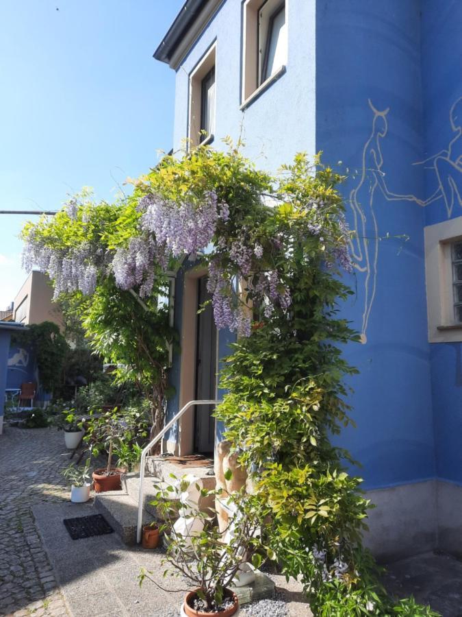 Kunstoase Am Blauen Haus Διαμέρισμα Δρέσδη Εξωτερικό φωτογραφία